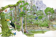 06 Foresta pluviale, china e acrilico su carta, editore Le Monnier