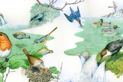 09 Uccelli che vivono alla sorgente del fiume, acrilico su carta, Biblioteca editore editore