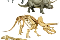 17 Dinosauri, acrilico su carta, Istituto Enciclopedia Italiana, Treccani