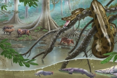09 L'anaconda nella foresta pluviale, Sophie Verlag Editore